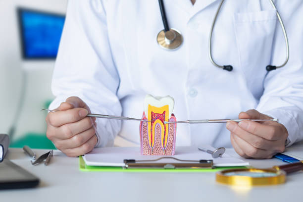 Best Emergency Dentist for Lost Fillings or Crowns in Lakewood Clu, MI